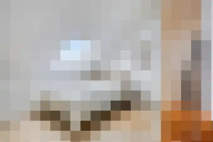 Bakkersland 30 Grijpskerke thumbnail 21