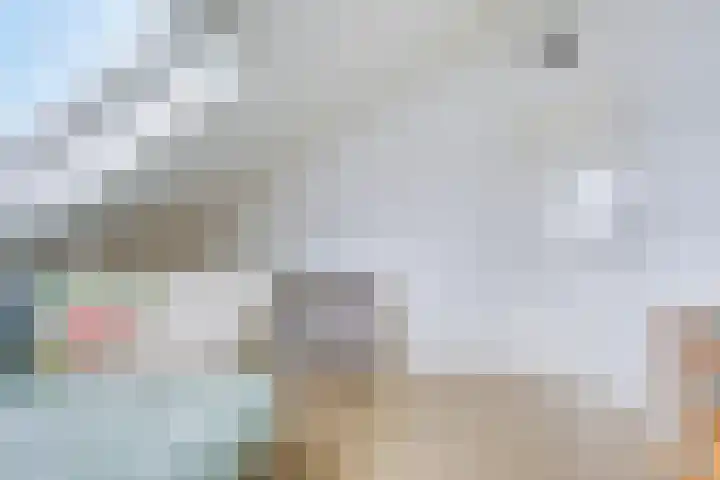 Bakkersland 30 Grijpskerke thumbnail 24