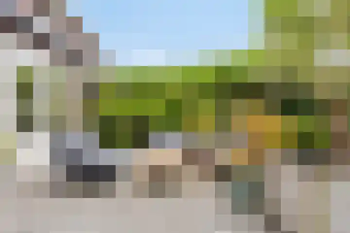 Bakkersland 30 Grijpskerke thumbnail 25