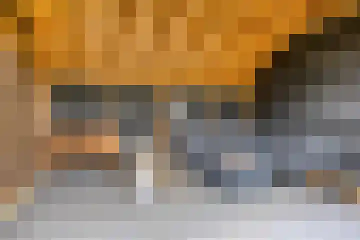 Bakkersland 30 Grijpskerke thumbnail 28