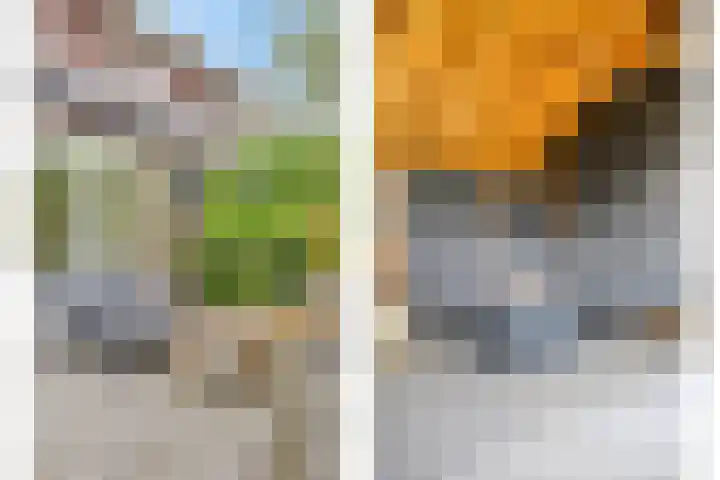 Bakkersland 30 Grijpskerke thumbnail 29