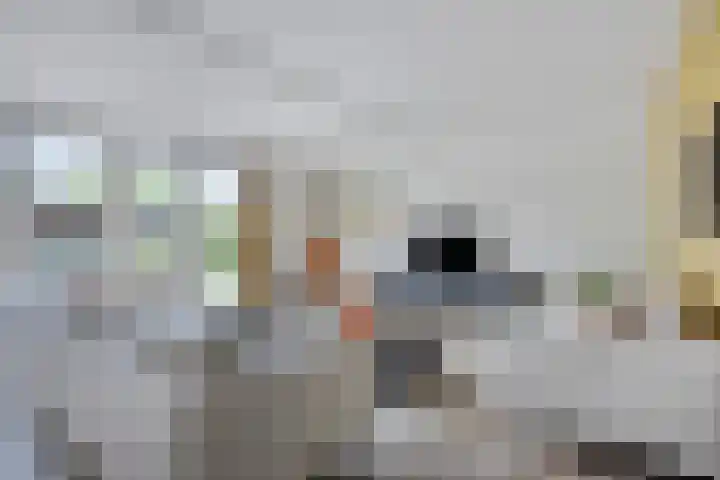 Bakkersland 30 Grijpskerke thumbnail 5