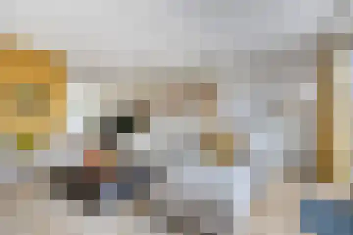 Bakkersland 30 Grijpskerke thumbnail 6