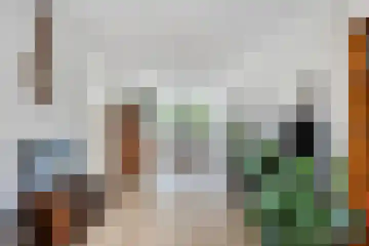 Bakkersland 30 Grijpskerke thumbnail 7