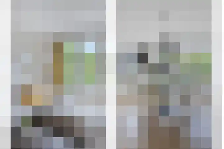 Bakkersland 30 Grijpskerke thumbnail 8