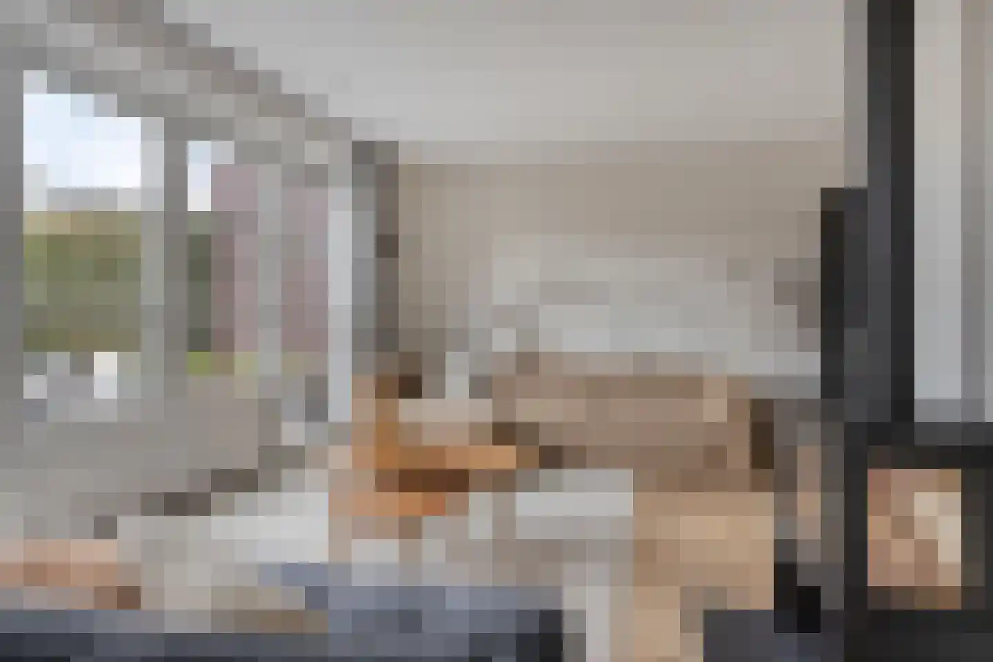 Bakkersland 32 Grijpskerke thumbnail 16