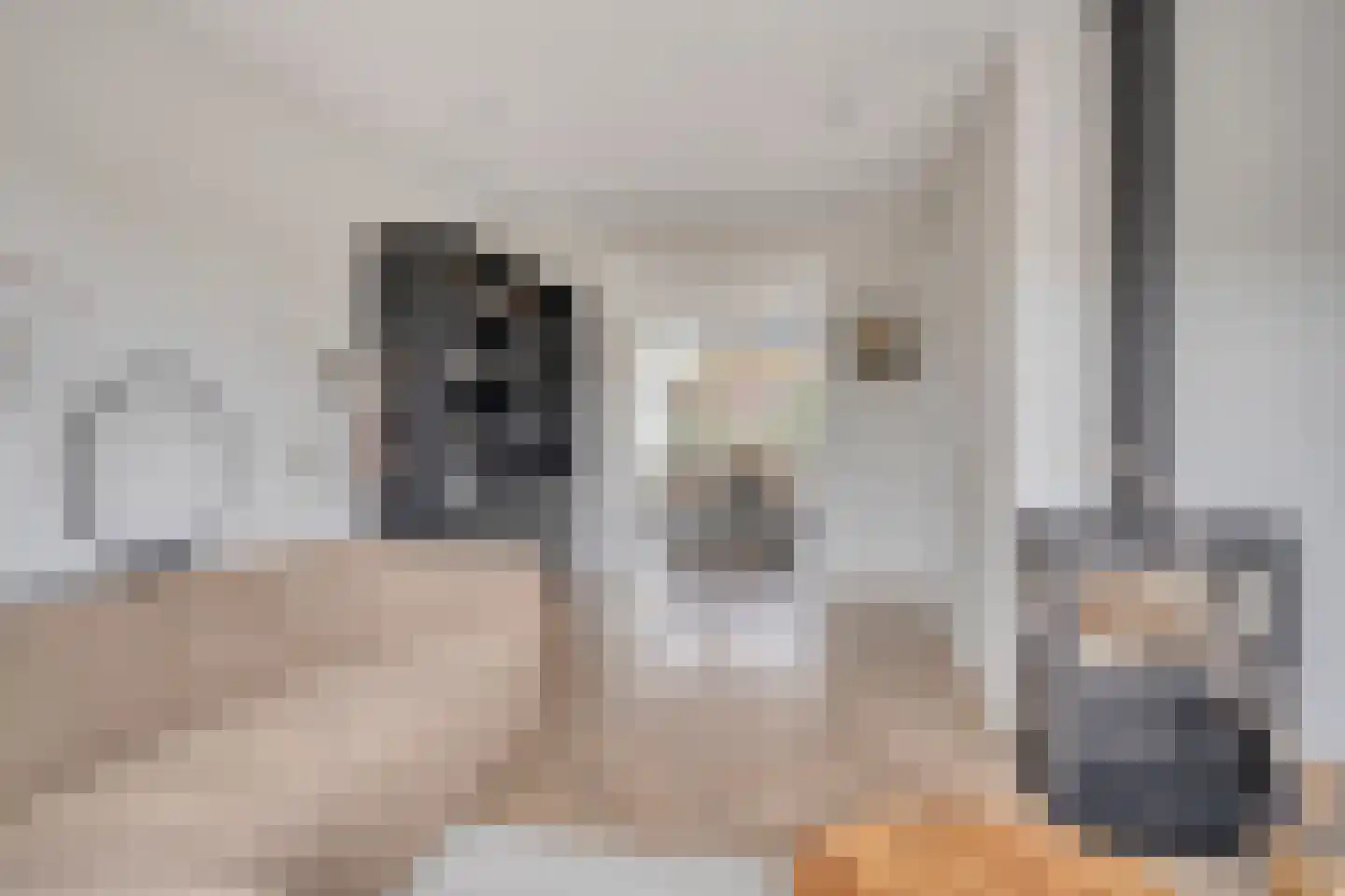 Bakkersland 32 Grijpskerke thumbnail 19