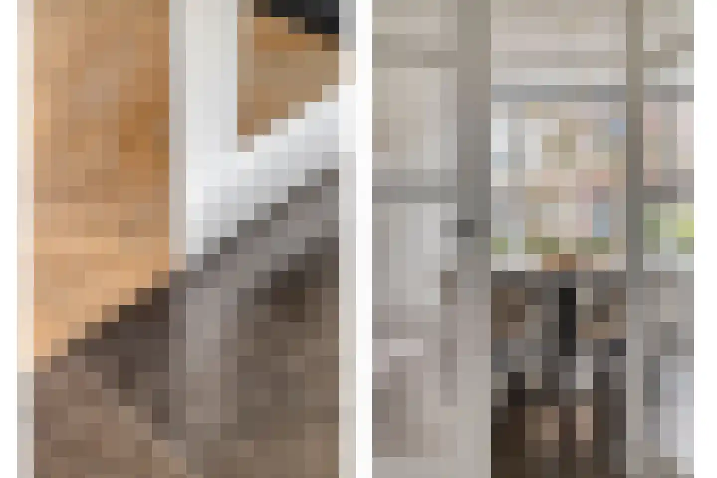Bakkersland 32 Grijpskerke thumbnail 21