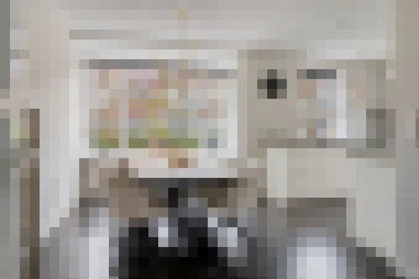 Bakkersland 32 Grijpskerke thumbnail 22