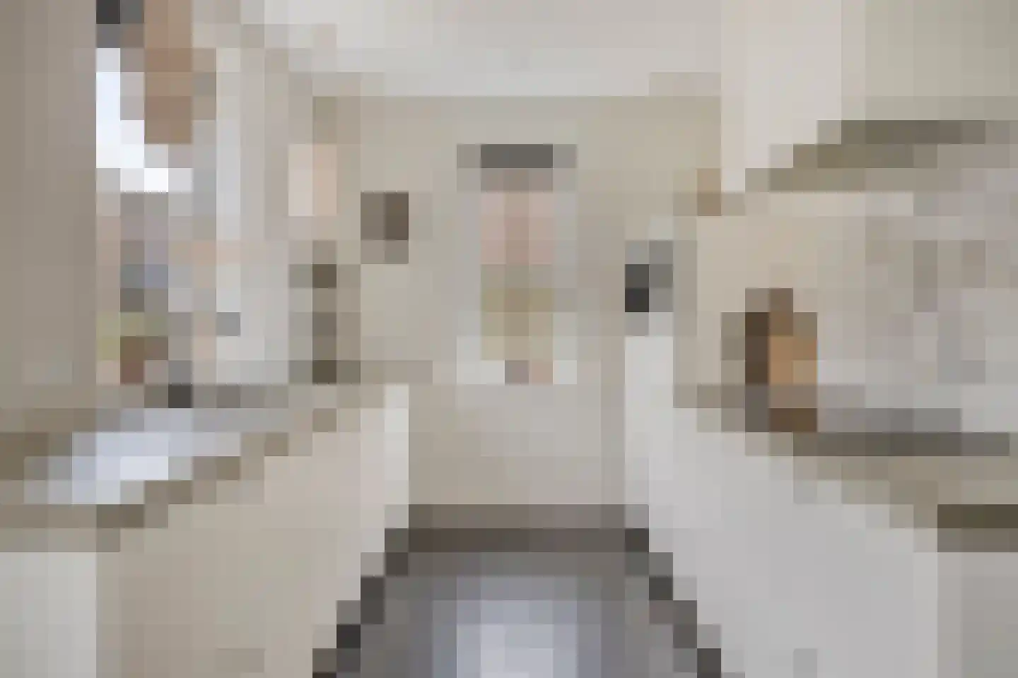 Bakkersland 32 Grijpskerke thumbnail 24