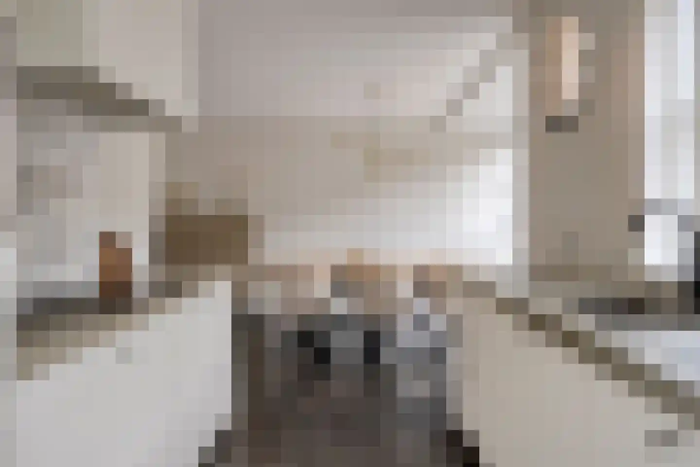 Bakkersland 32 Grijpskerke thumbnail 25