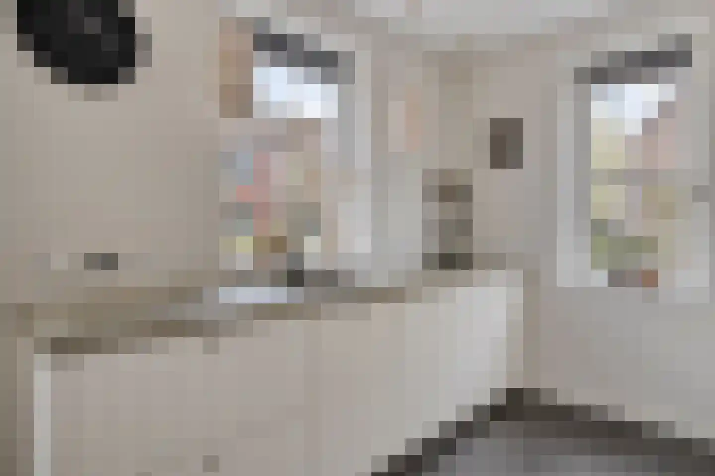 Bakkersland 32 Grijpskerke thumbnail 28
