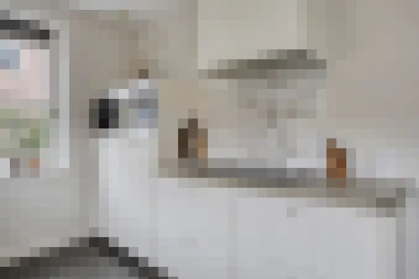 Bakkersland 32 Grijpskerke thumbnail 29