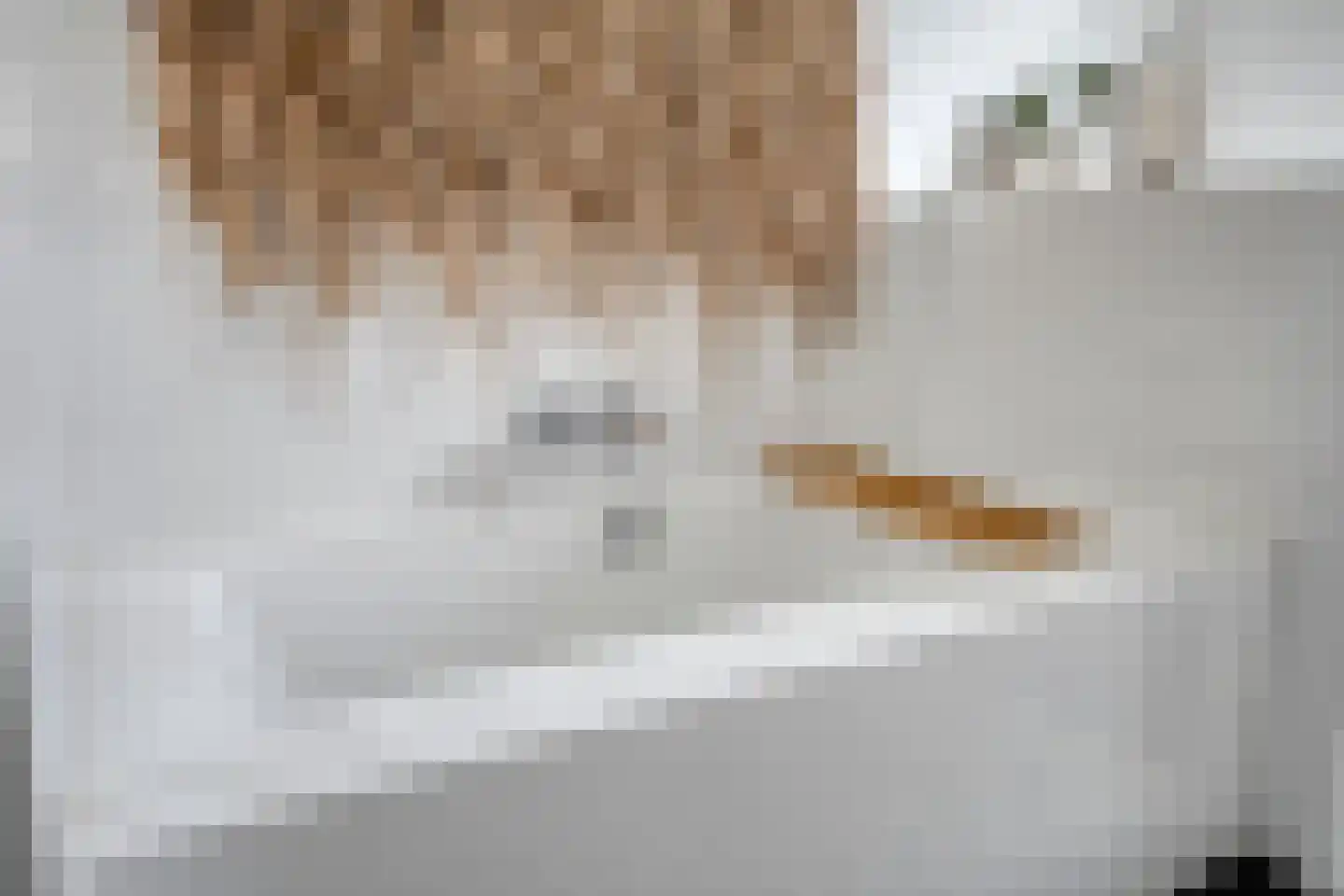 Bakkersland 32 Grijpskerke thumbnail 40