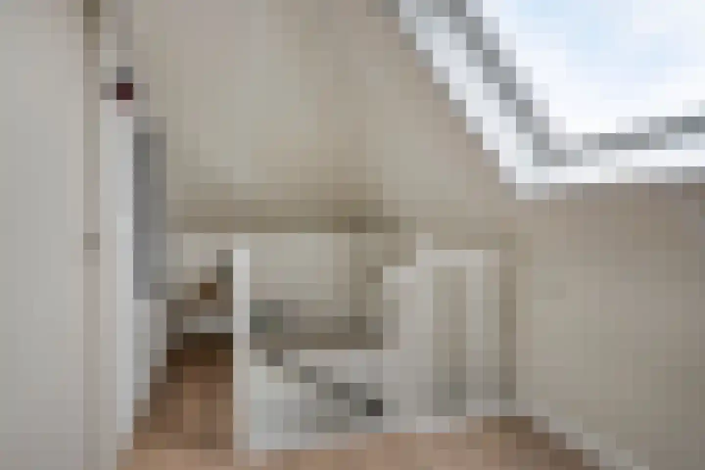 Bakkersland 32 Grijpskerke thumbnail 43