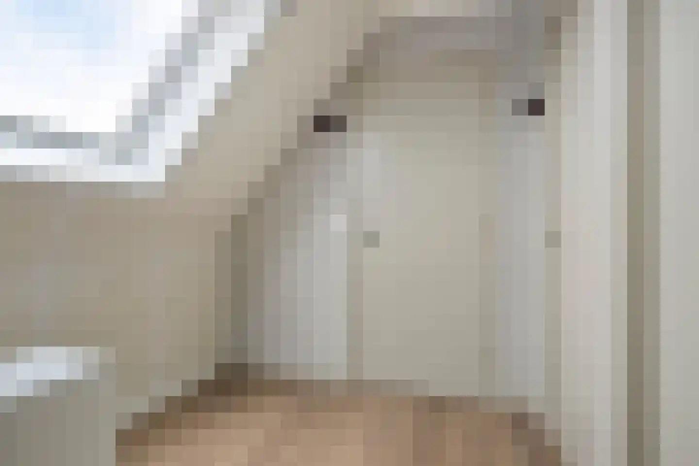 Bakkersland 32 Grijpskerke thumbnail 44
