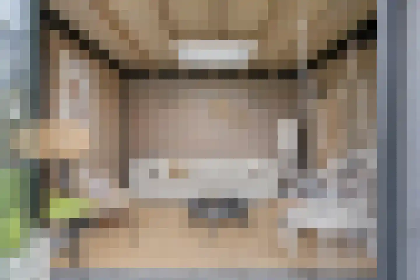 Bakkersland 32 Grijpskerke thumbnail 57
