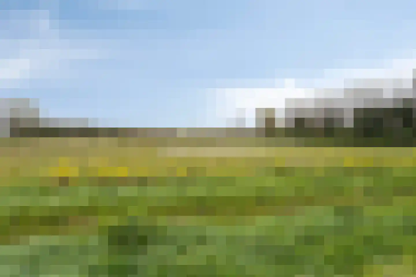 Bakkersland 32 Grijpskerke thumbnail 65