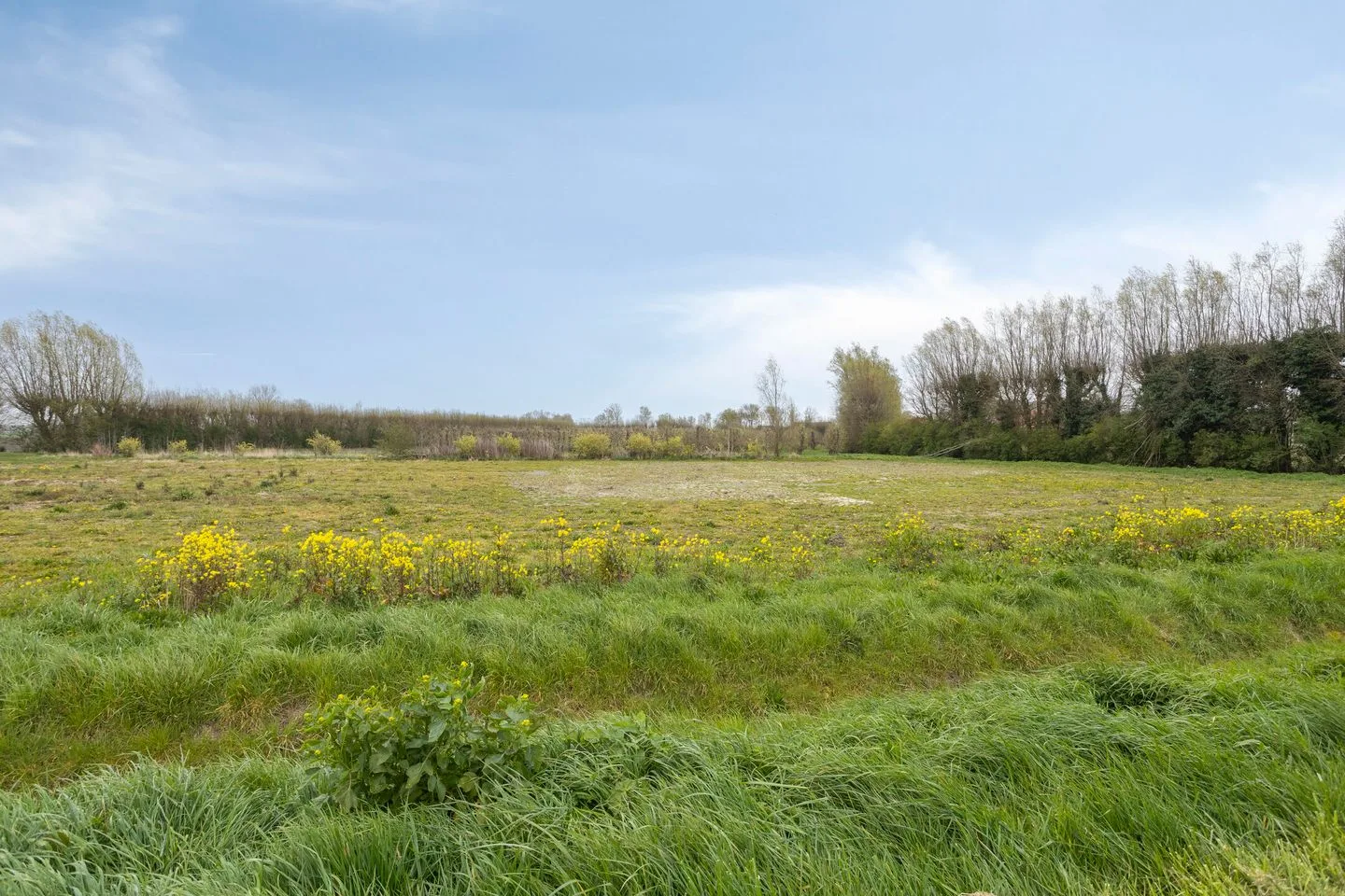 Bakkersland 32 Grijpskerke thumbnail 65