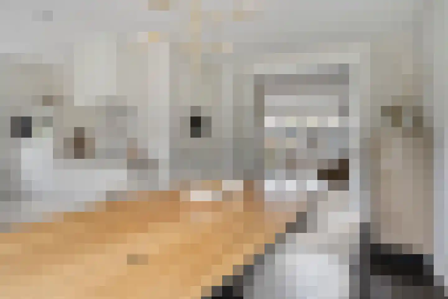 Bakkersland 32 Grijpskerke thumbnail 7