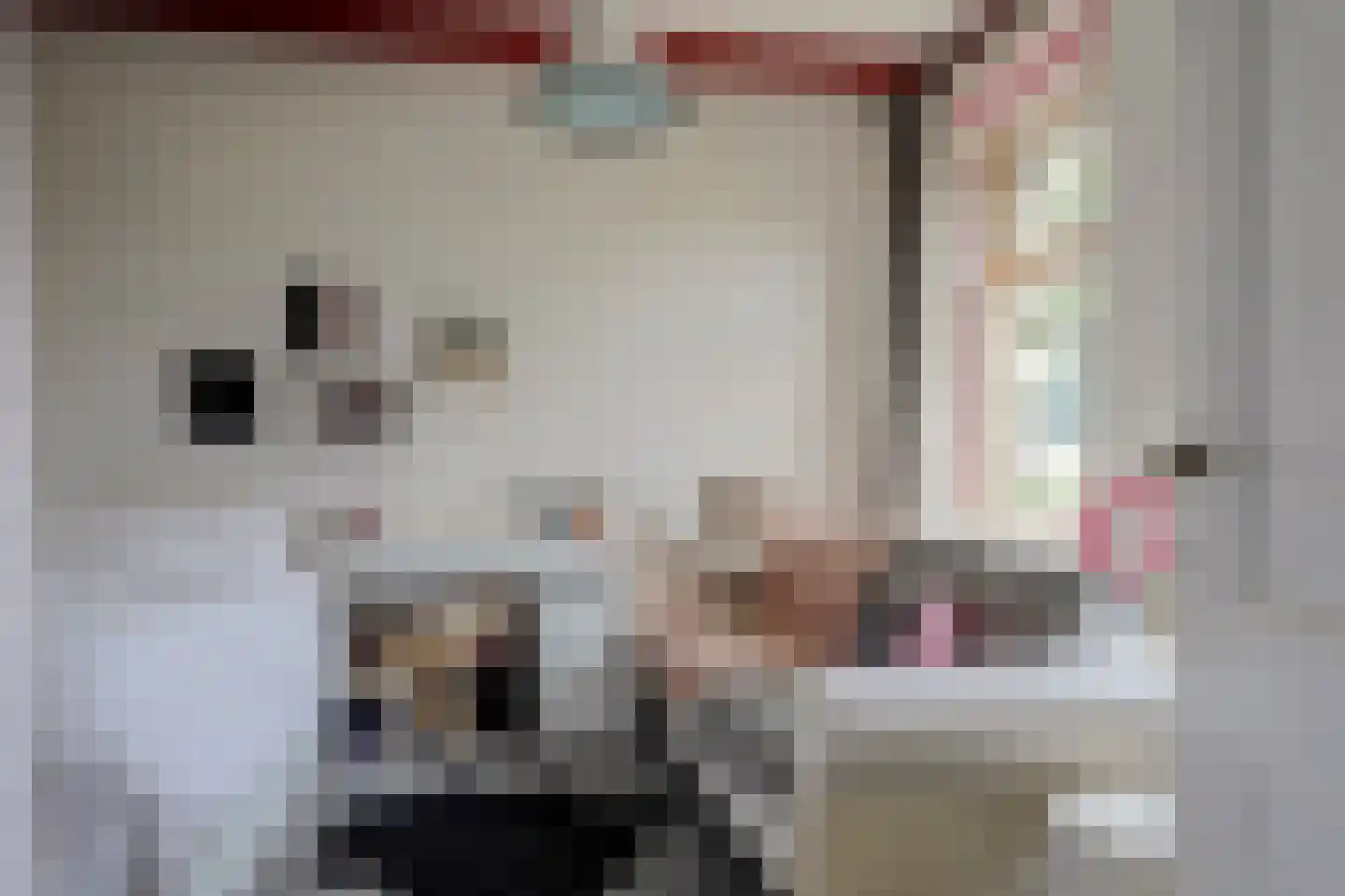 Bakkerspad 4 Broek op Langedijk thumbnail 16