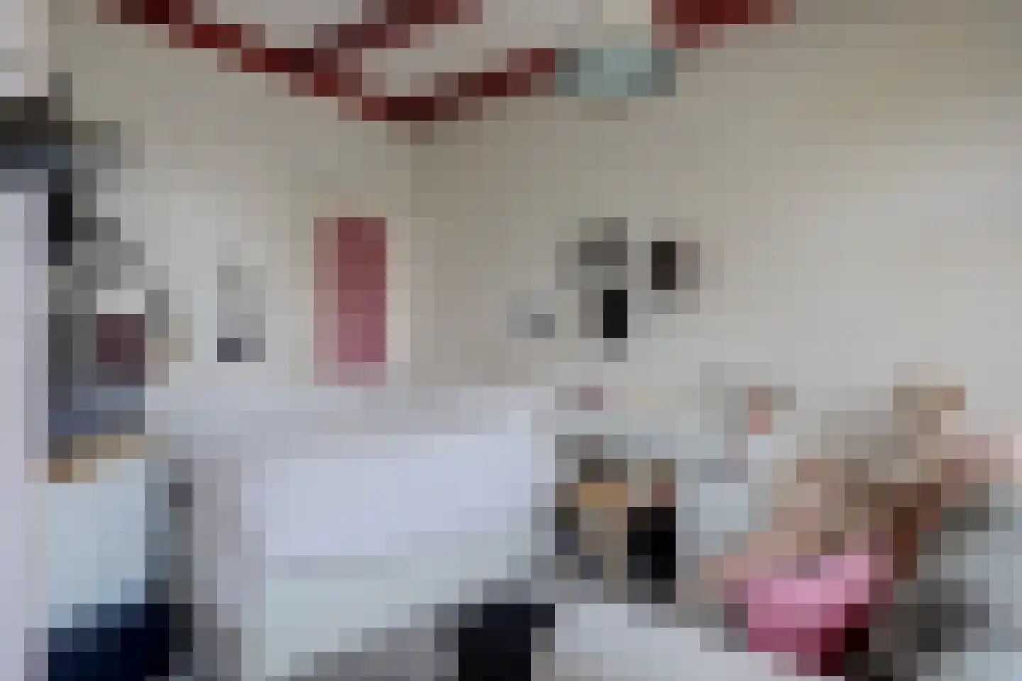Bakkerspad 4 Broek op Langedijk thumbnail 17