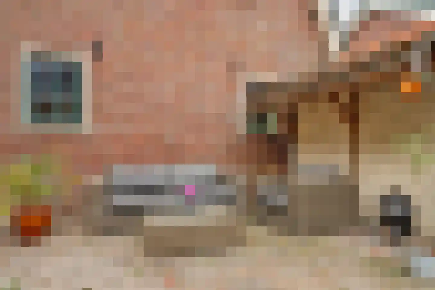 Bakkerspad 4 Broek op Langedijk thumbnail 23