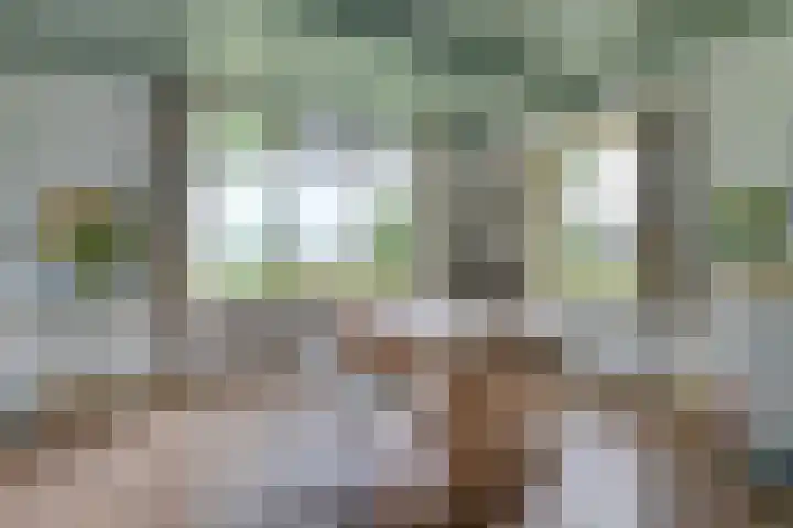 Bakkerspad 8 Markenbinnen thumbnail 10