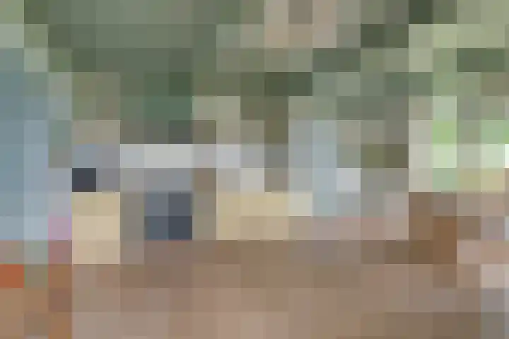 Bakkerspad 8 Markenbinnen thumbnail 13