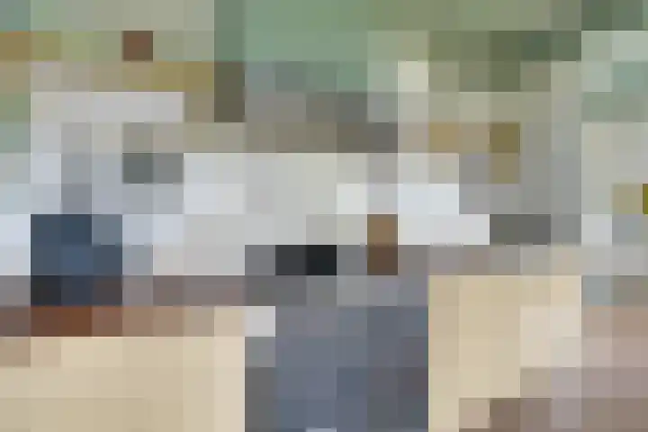 Bakkerspad 8 Markenbinnen thumbnail 15