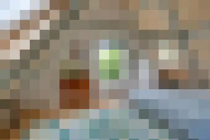 Bakkerspad 8 Markenbinnen thumbnail 31