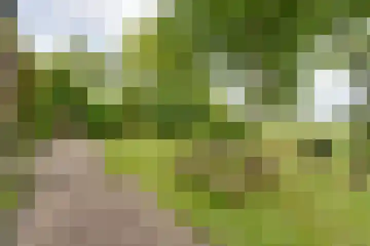 Bakkerspad 8 Markenbinnen thumbnail 58