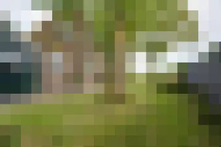 Bakkerspad 8 Markenbinnen thumbnail 63