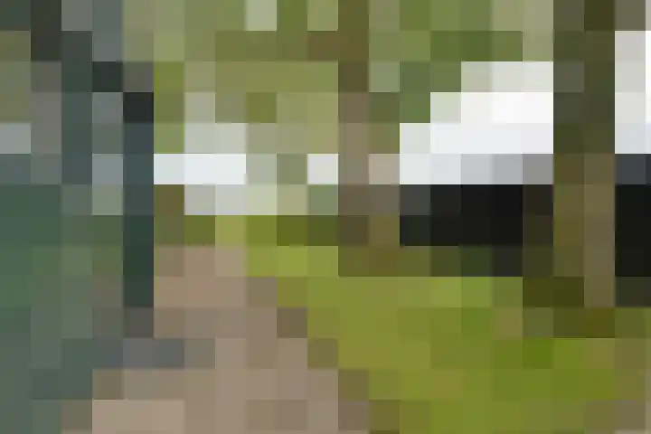 Bakkerspad 8 Markenbinnen thumbnail 68