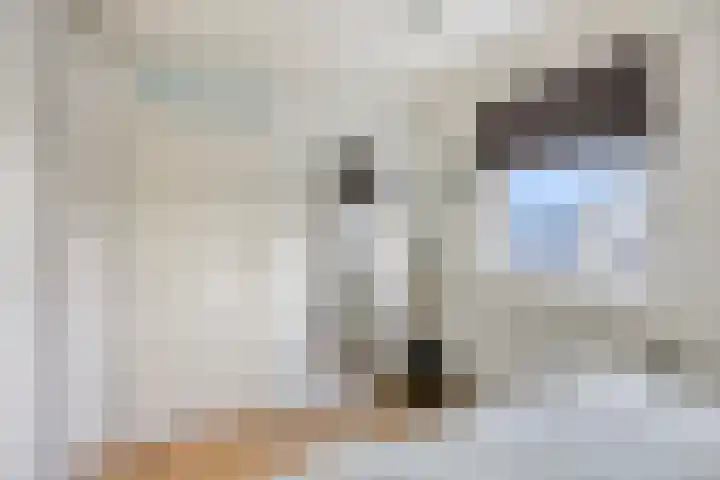 Bakkerspleintje 21 Castricum thumbnail 21
