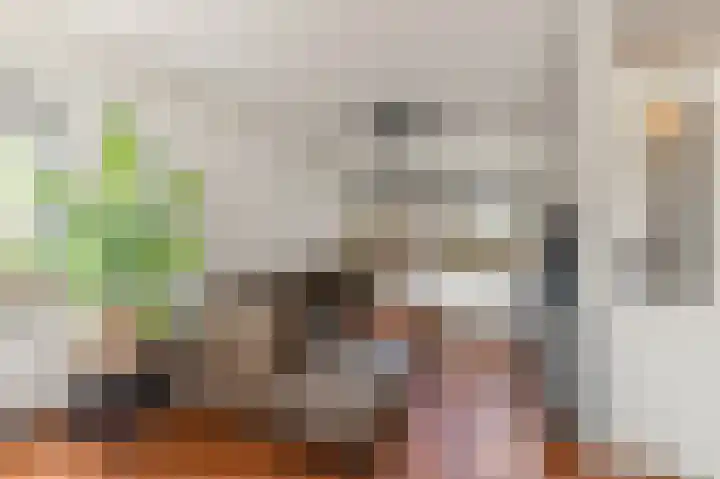 Bakkerspleintje 3 Castricum thumbnail 10