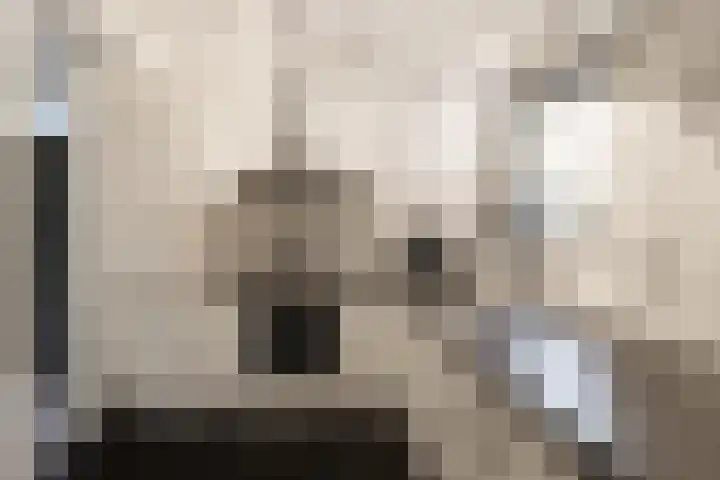 Bakkerspleintje 3 Castricum thumbnail 15