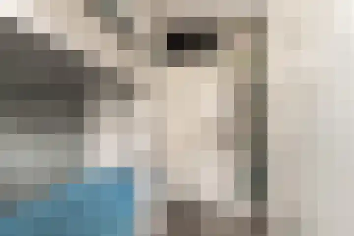 Bakkerspleintje 3 Castricum thumbnail 20
