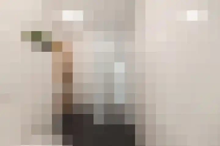 Bakkerspleintje 3 Castricum thumbnail 22