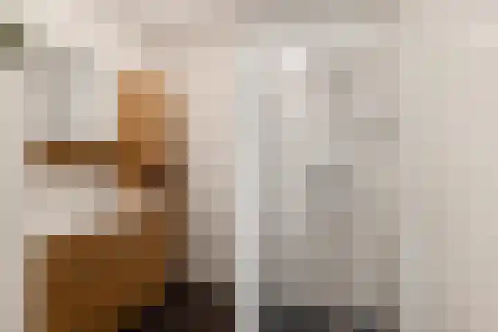 Bakkerspleintje 3 Castricum thumbnail 23