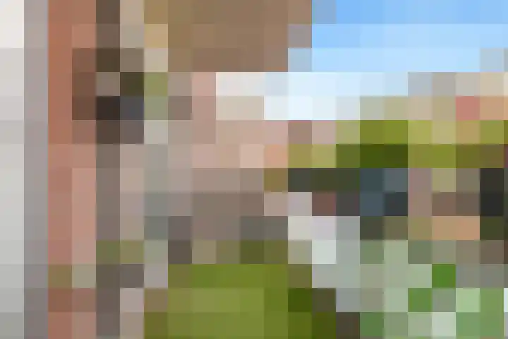 Bakkerspleintje 3 Castricum thumbnail 24