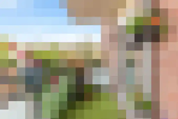 Bakkerspleintje 3 Castricum thumbnail 25
