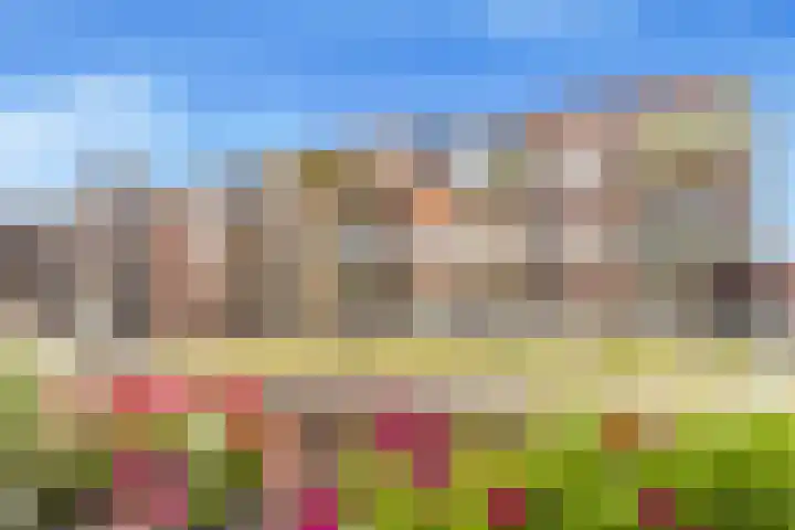 Bakkerspleintje 3 Castricum thumbnail 26