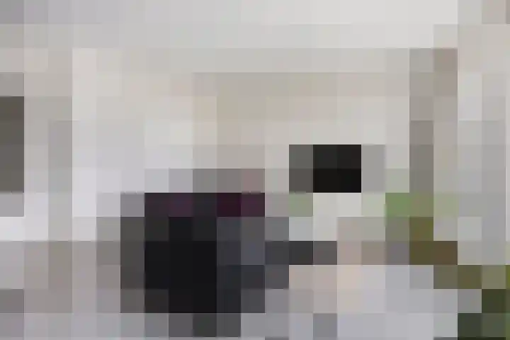 Bakkerspleintje 52 Castricum thumbnail 11