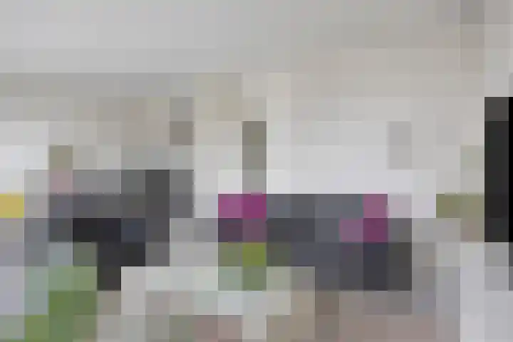 Bakkerspleintje 52 Castricum thumbnail 12