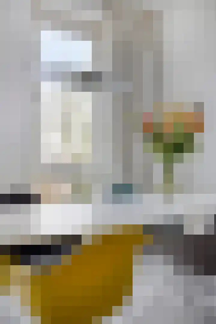 Bakkerspleintje 52 Castricum thumbnail 15