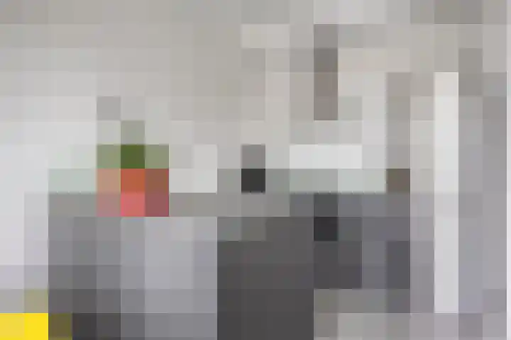 Bakkerspleintje 52 Castricum thumbnail 17