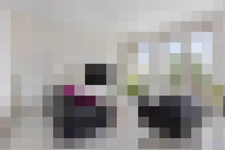 Bakkerspleintje 52 Castricum thumbnail 9