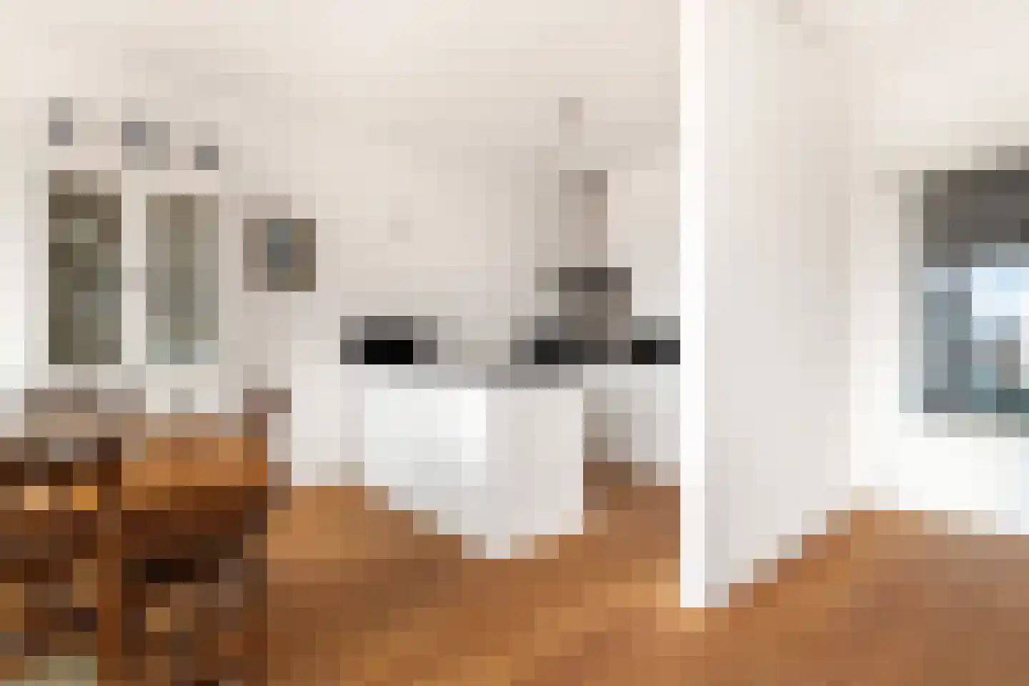 Bakkerspleintje 56 Castricum thumbnail 16