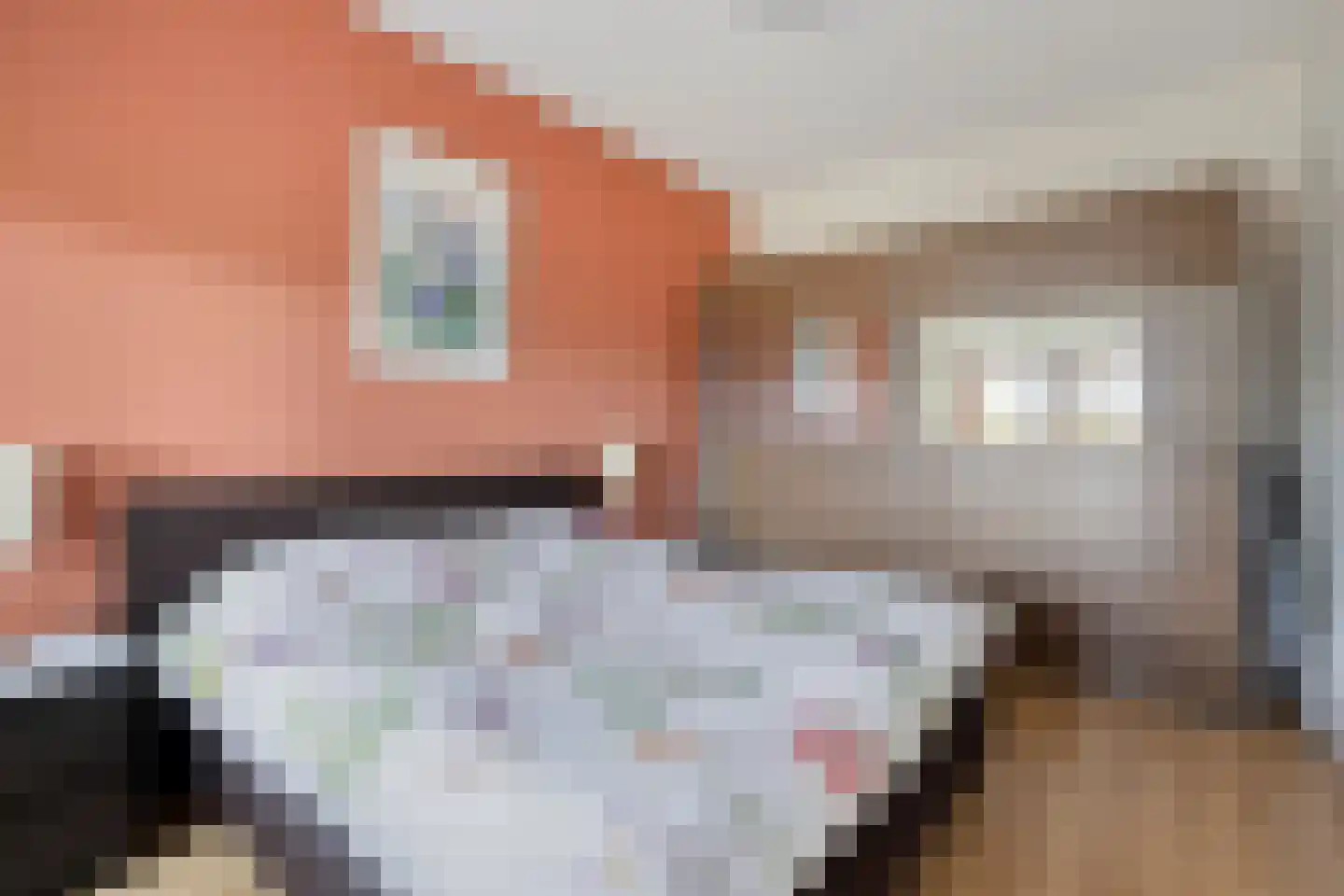 Bakkerspleintje 57 Castricum thumbnail 14